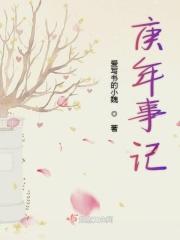 庚年事记