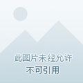 穿越火线之AK传奇