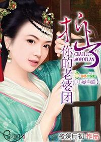 小妾当道:拆了你的老婆团